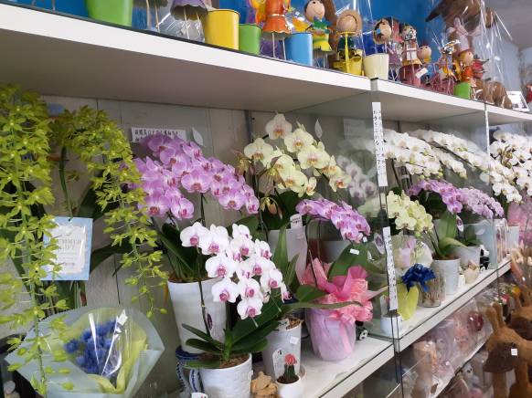 「前芝フラワーショップ」　（和歌山県東牟婁郡串本町）の花屋店舗写真4